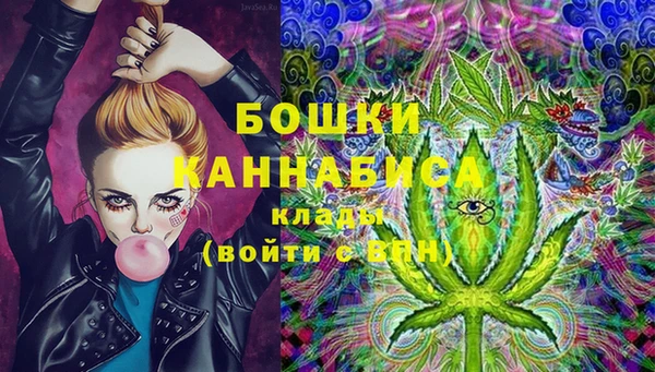 гидра Карталы