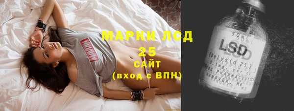 гашик Касимов