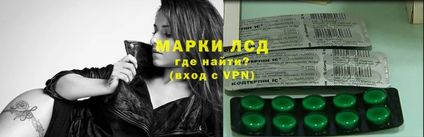 гашик Касимов