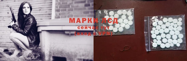 гашик Касимов