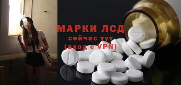 гашик Касимов