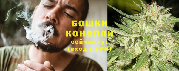 гидра Карталы