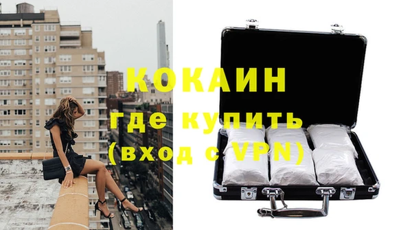 гашик Касимов
