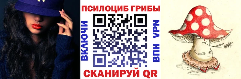 Псилоцибиновые грибы GOLDEN TEACHER  Купить где  Красноперекопск 